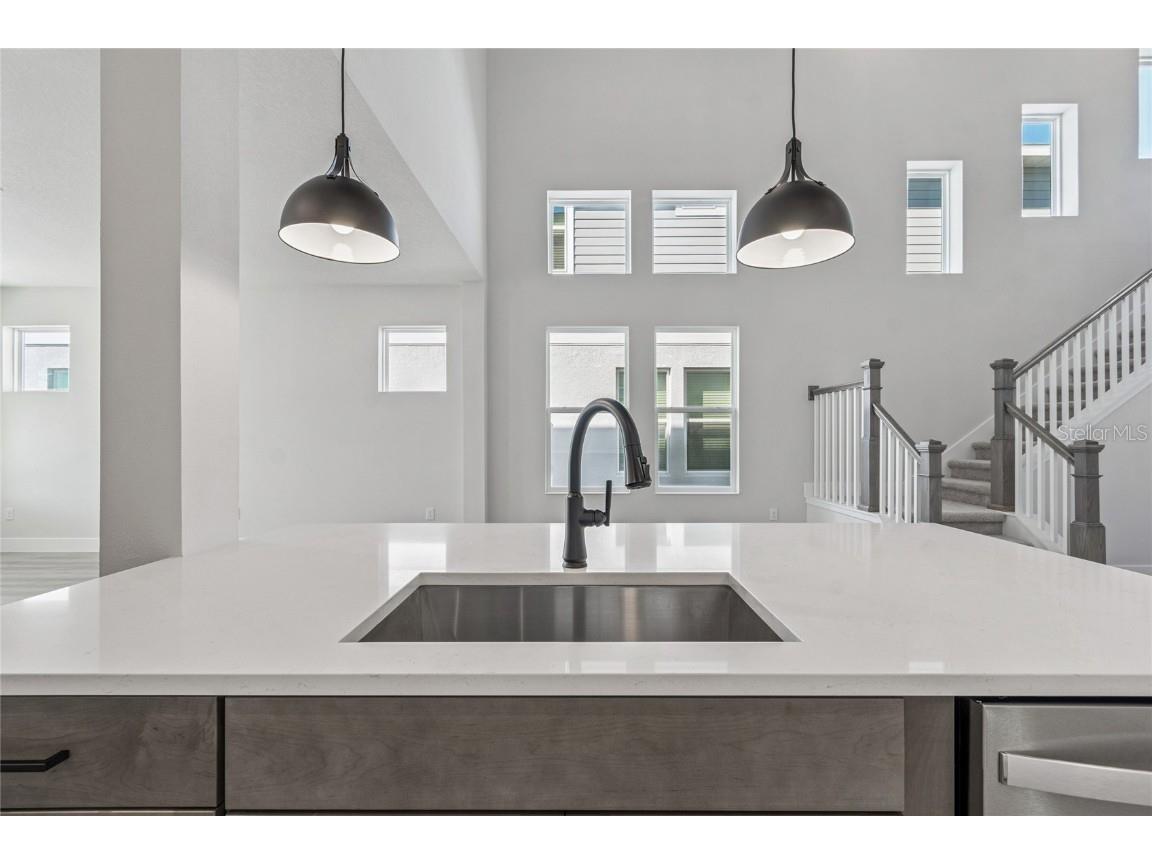 28780 Jujube Road Wesley Chapel FL 33543 TB8404943 image9