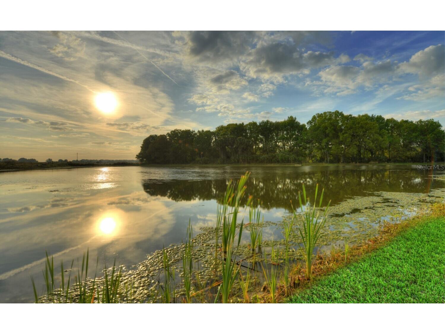 28789 Seedling Street Wesley Chapel FL 33543 O6405769 image6