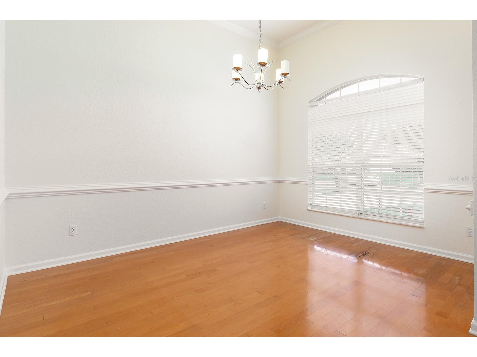2879 Oconnell Drive Kissimmee FL 34741 O6390445 image5