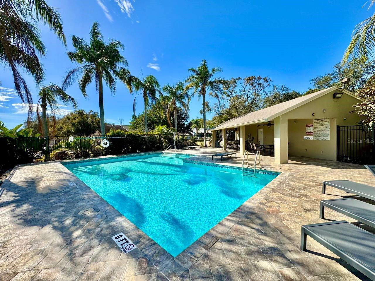 2879 Thaxton Drive #53 Palm Harbor FL 34684 TB8466501 image24