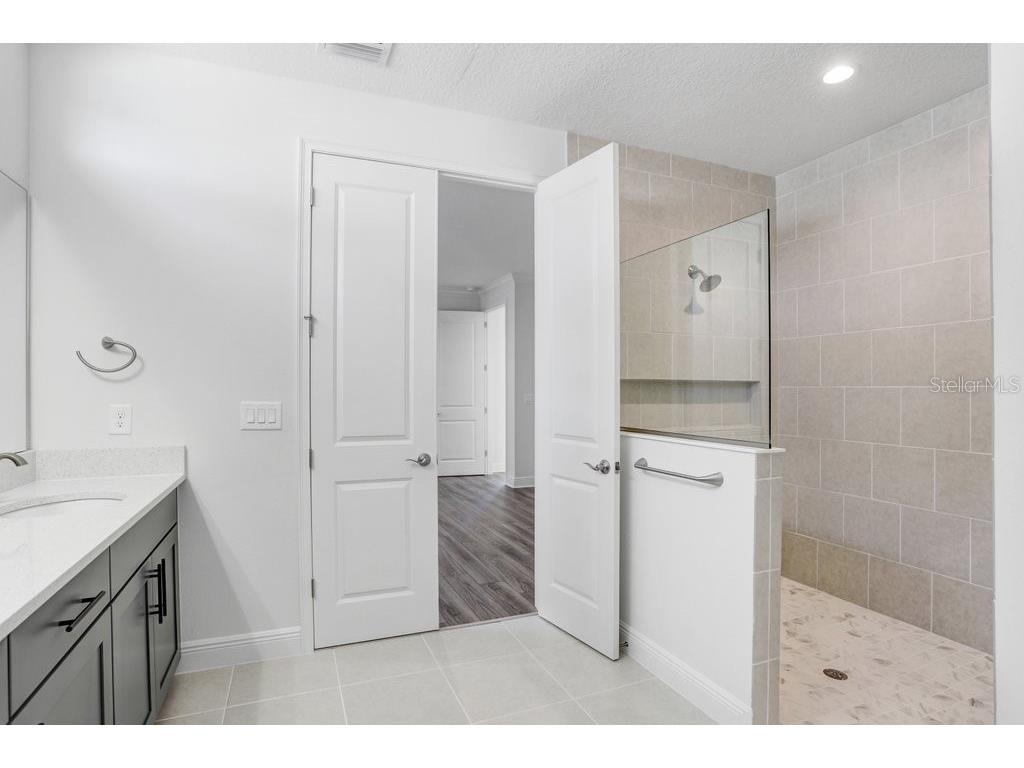28793 Sweet Persimmon Drive Wesley Chapel FL 33543 TB8504514 image16