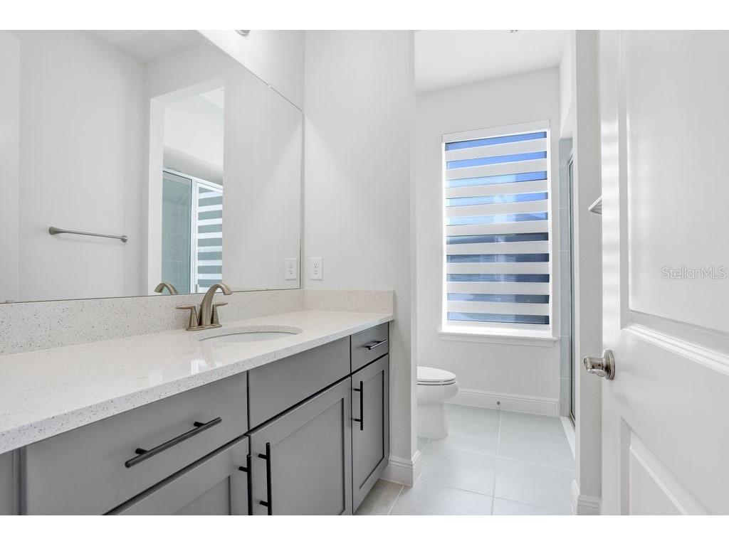 28793 Sweet Persimmon Drive Wesley Chapel FL 33543 TB8504514 image17