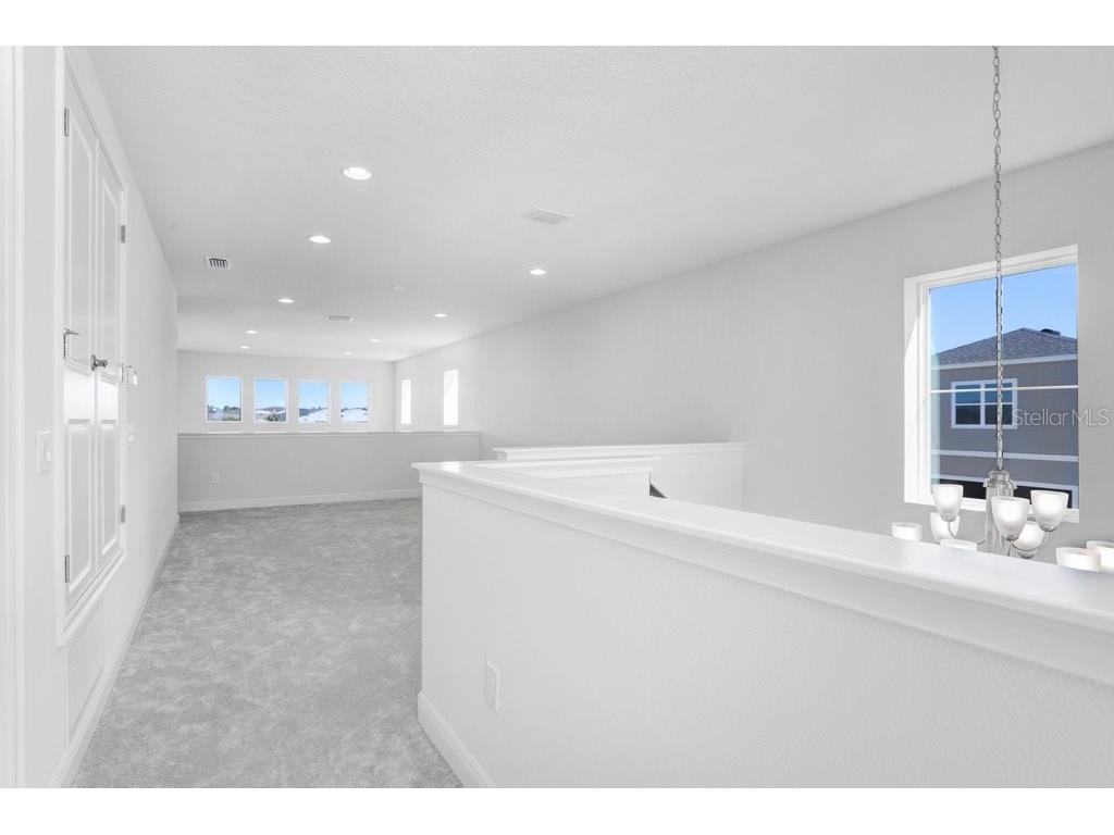 28793 Sweet Persimmon Drive Wesley Chapel FL 33543 TB8504514 image18