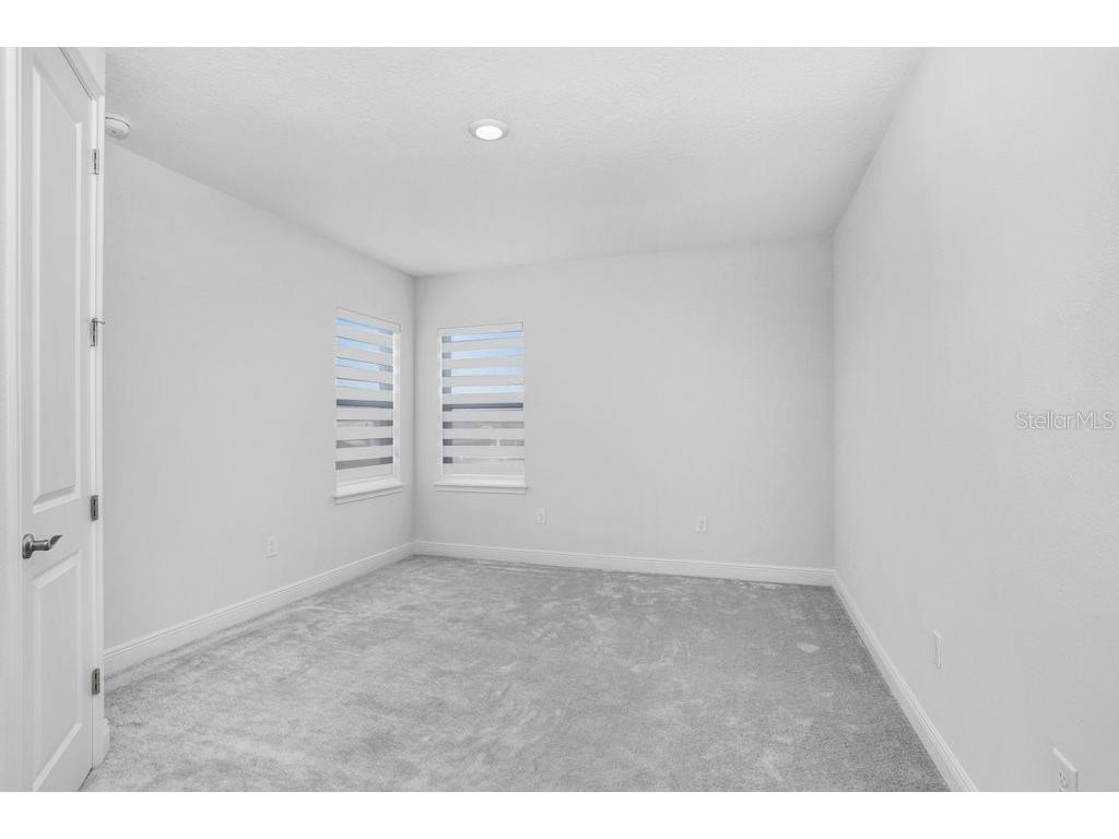 28793 Sweet Persimmon Drive Wesley Chapel FL 33543 TB8504514 image21
