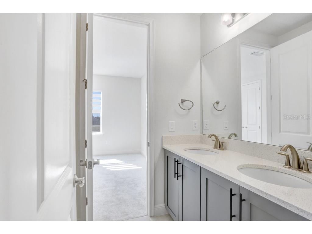 28793 Sweet Persimmon Drive Wesley Chapel FL 33543 TB8504514 image23