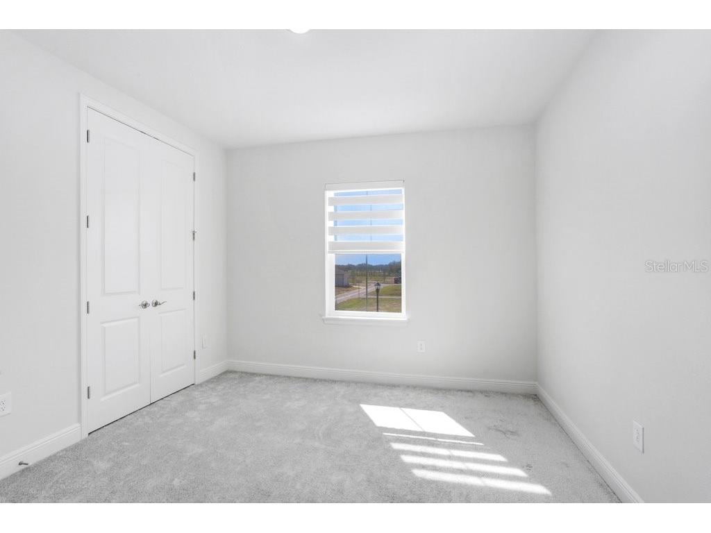 28793 Sweet Persimmon Drive Wesley Chapel FL 33543 TB8504514 image24
