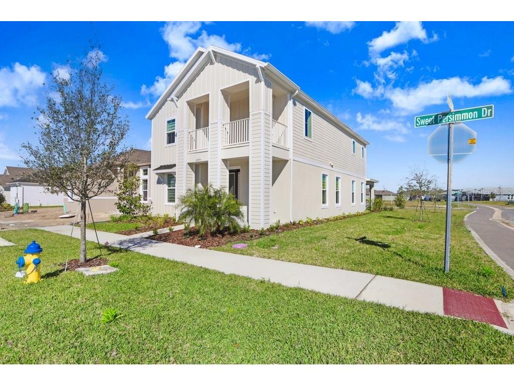 28793 Sweet Persimmon Drive Wesley Chapel FL 33543 TB8504514 image29