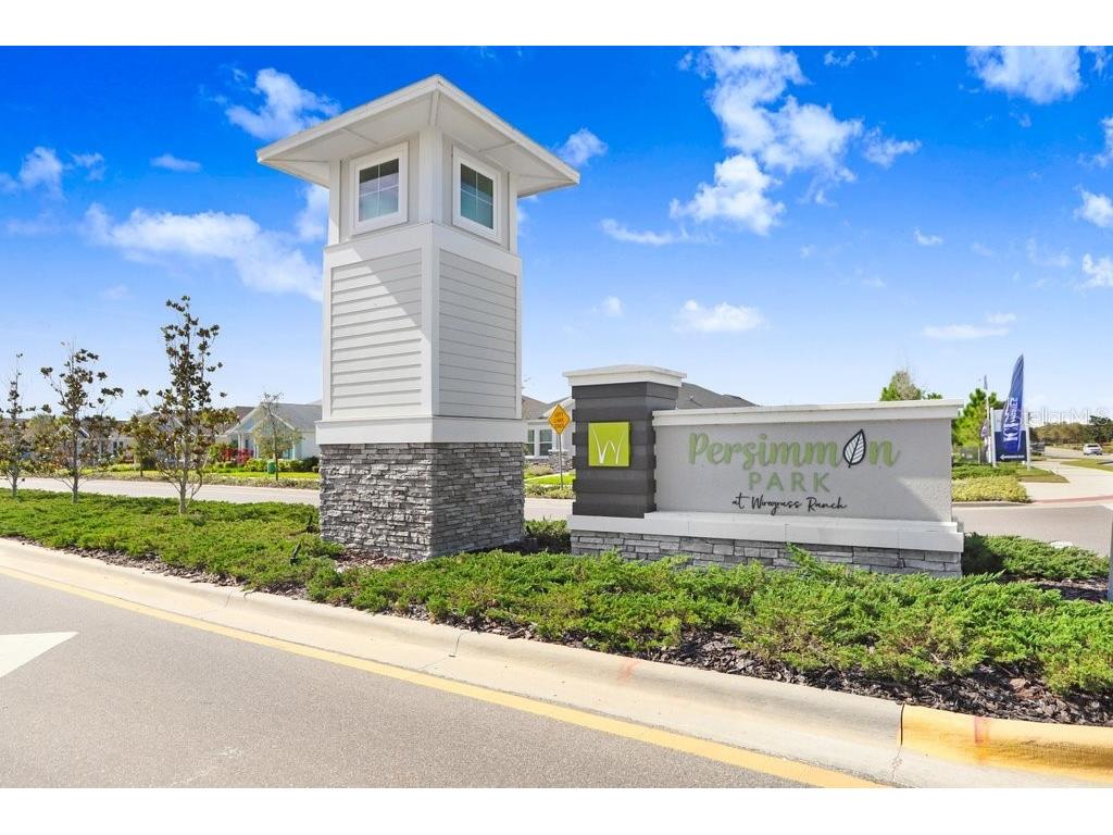 28793 Sweet Persimmon Drive Wesley Chapel FL 33543 TB8504514 image30