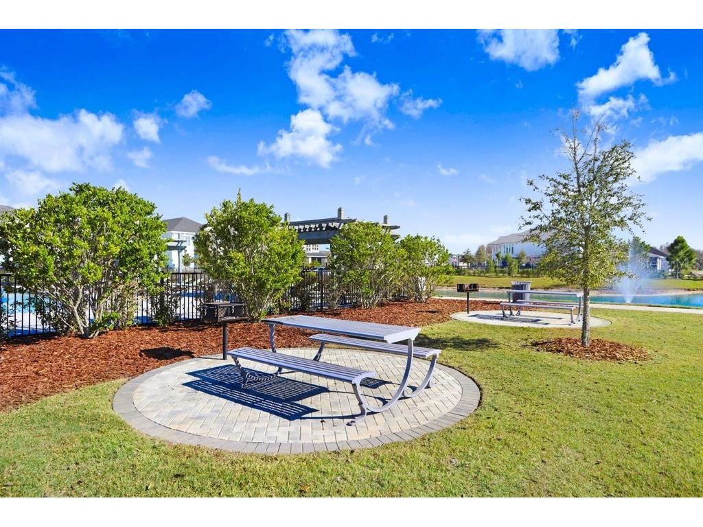 28793 Sweet Persimmon Drive Wesley Chapel FL 33543 TB8504514 image33