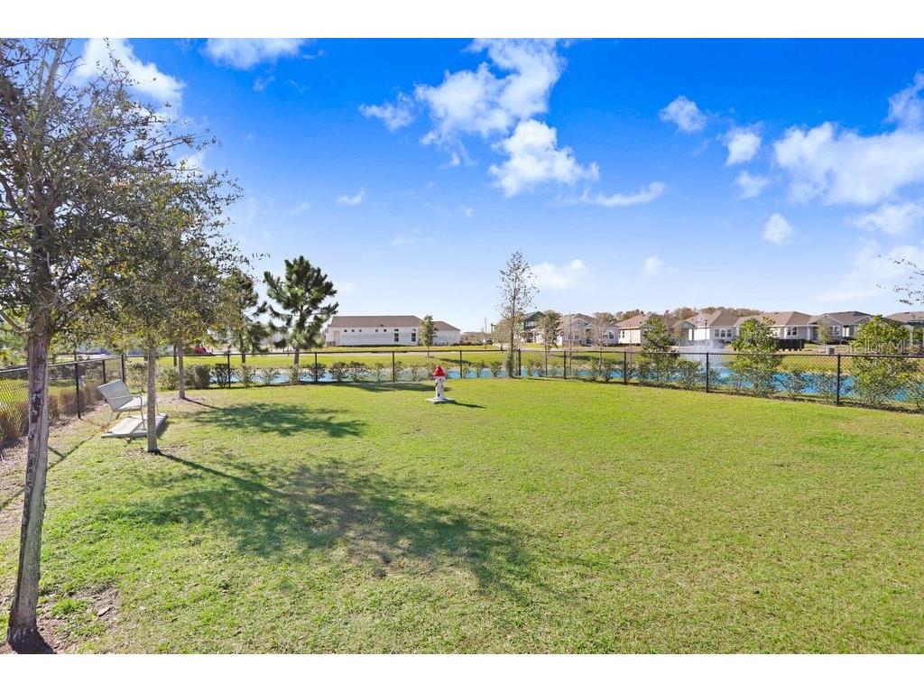 28793 Sweet Persimmon Drive Wesley Chapel FL 33543 TB8504514 image36