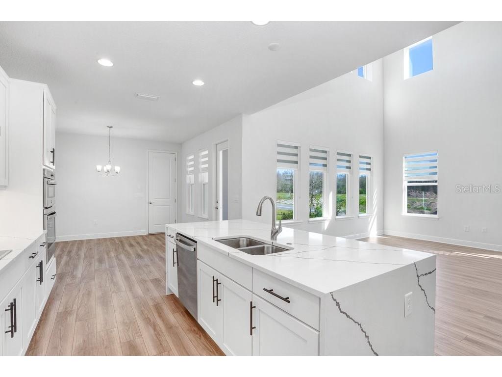 28793 Sweet Persimmon Drive Wesley Chapel FL 33543 TB8504514 image5