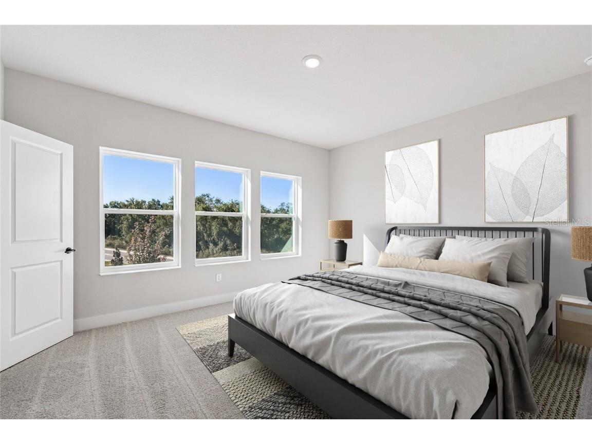 28796 Jujube Road Wesley Chapel FL 33543 TB8415731 image21