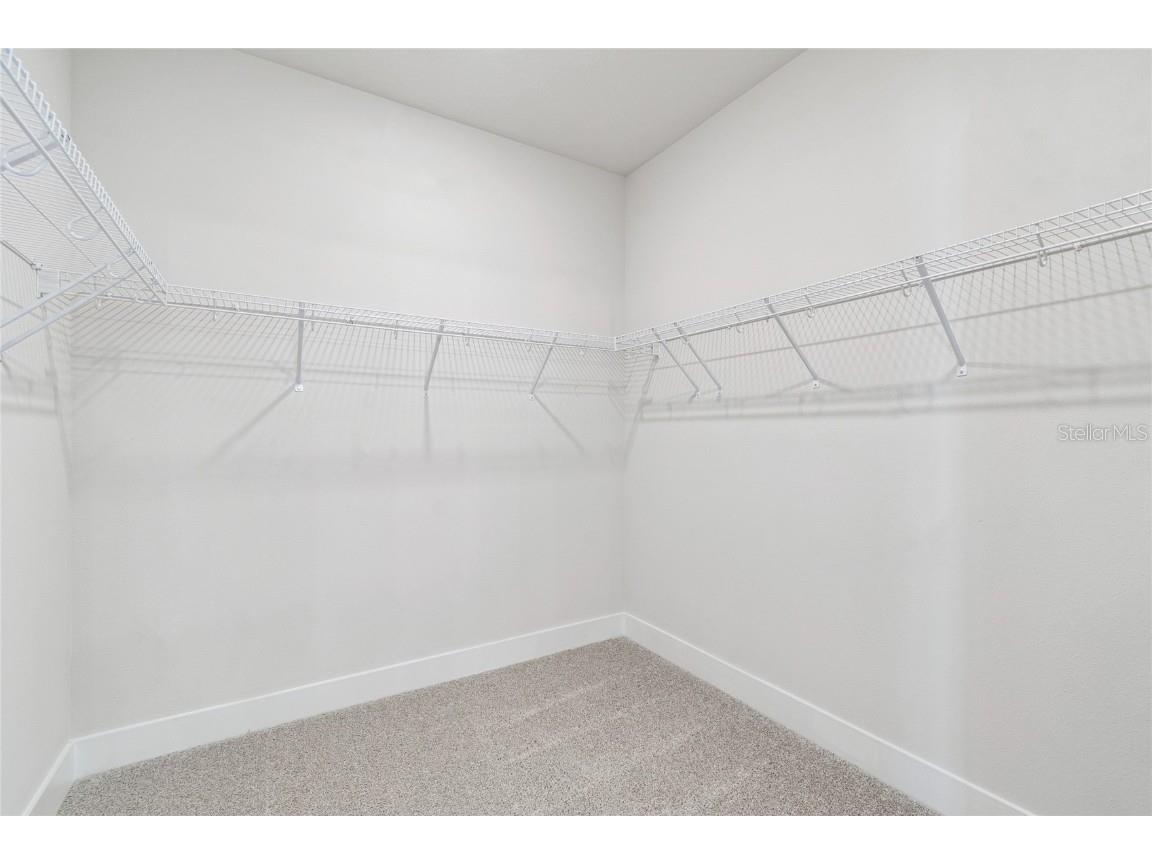 28796 Jujube Road Wesley Chapel FL 33543 TB8415731 image28