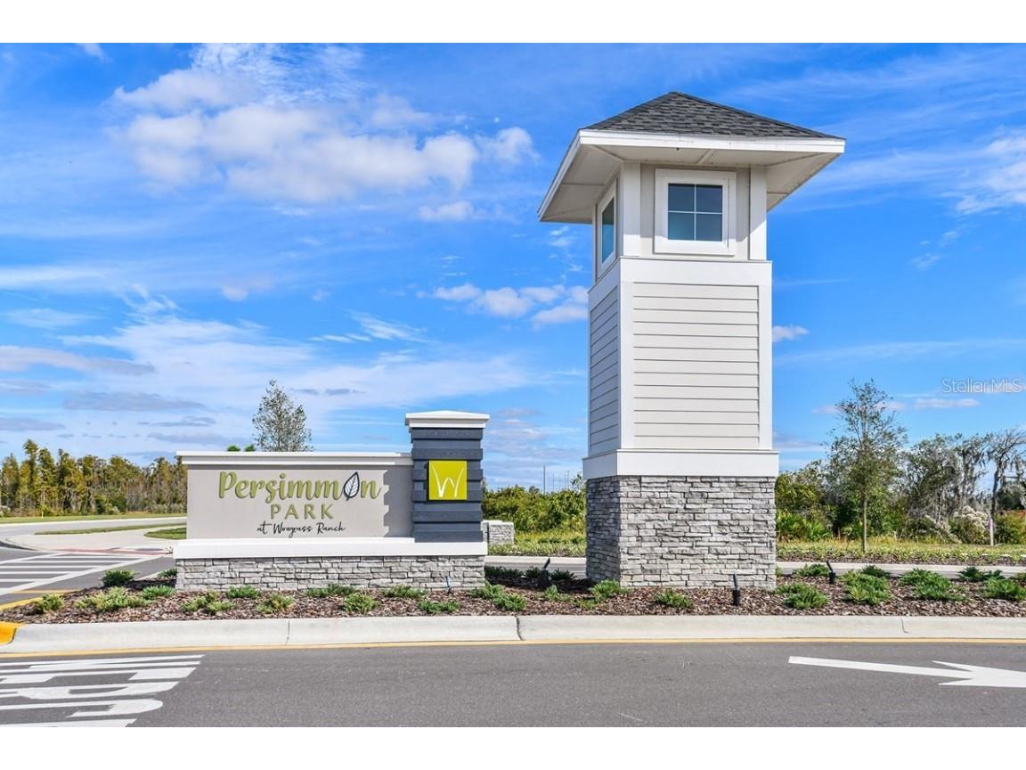 28796 Jujube Road Wesley Chapel FL 33543 TB8415731 image44