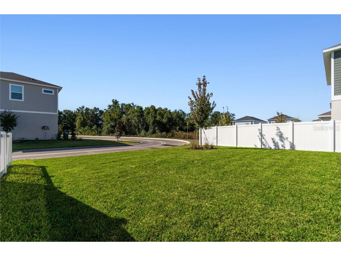 28796 Jujube Road Wesley Chapel FL 33543 TB8415731 image51