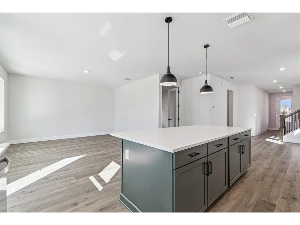 28796 Jujube Road Wesley Chapel FL 33543 TB8415731 image6