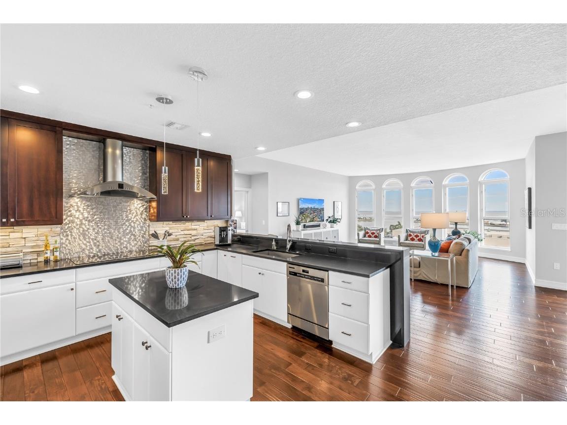 288 Beach Drive NE #6B Saint Petersburg FL 33701 - TAMPA BAY TB8443767 image13