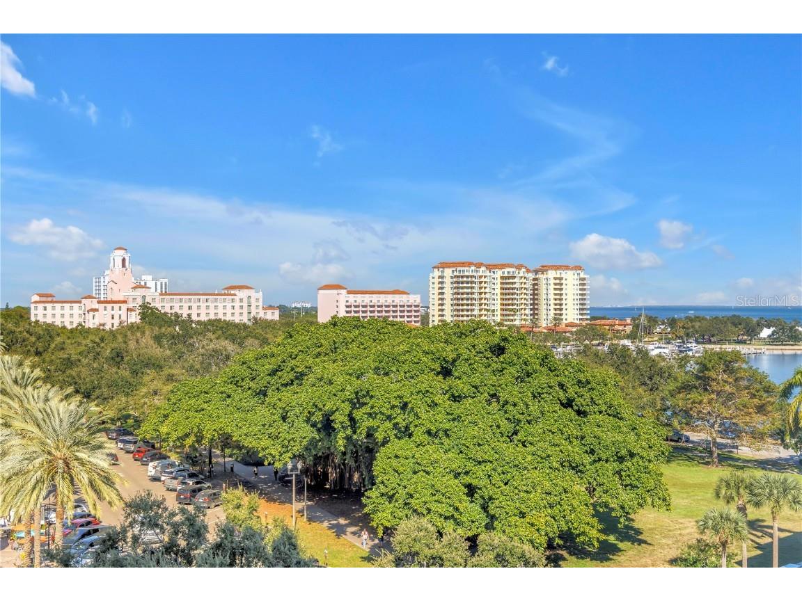 288 Beach Drive NE #6B Saint Petersburg FL 33701 - TAMPA BAY TB8443767 image55