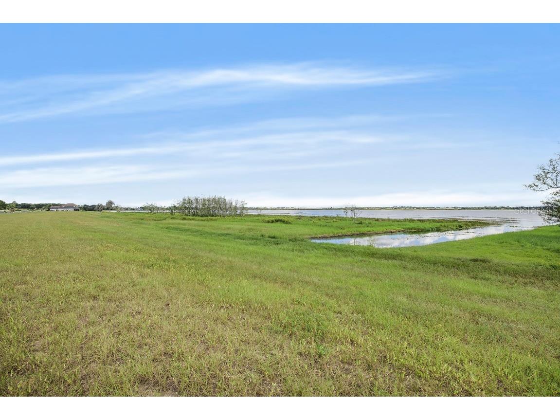 288 Caladium Avenue Lake Alfred FL 33850 - LAKE ALFRED TB8336954 image3