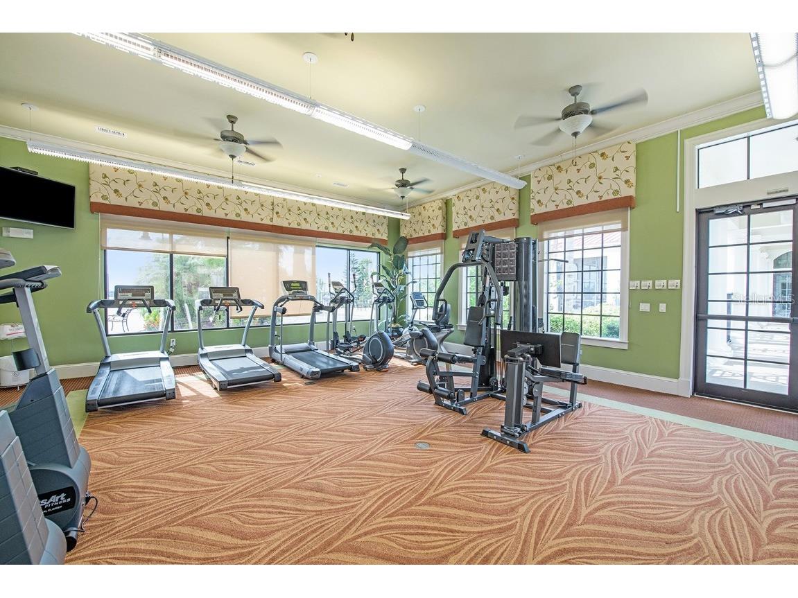 288 Caladium Avenue Lake Alfred FL 33850 - LAKE ALFRED TB8336954 image31