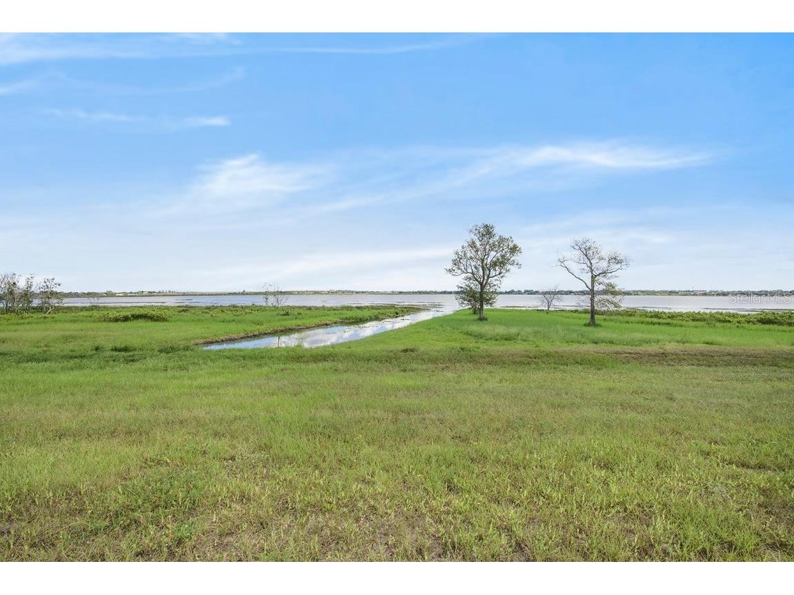 288 Caladium Avenue Lake Alfred FL 33850 - LAKE ALFRED TB8336954 image4