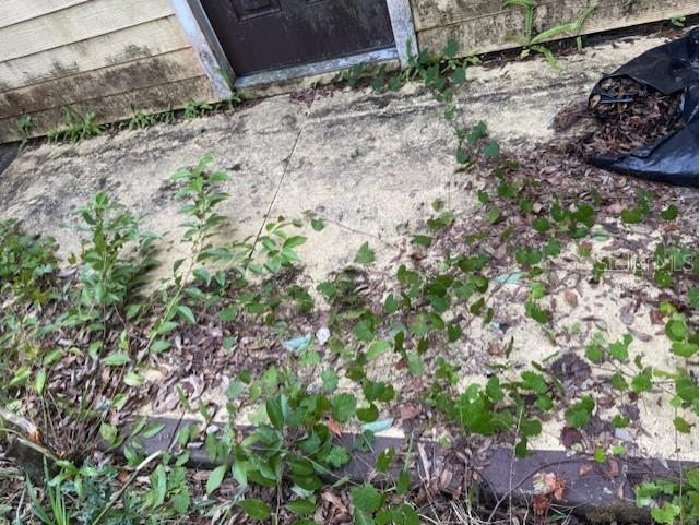 288 Mcmillon Drive Orange City FL 32763 V4949117 image34