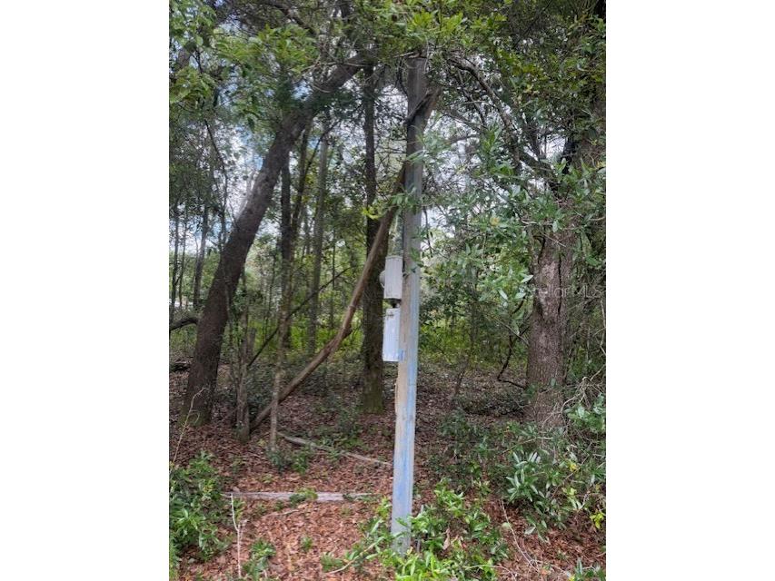 288 Mcmillon Drive Orange City FL 32763 V4949117 image35
