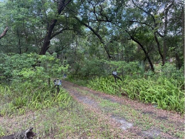 288 Mcmillon Drive Orange City FL 32763 V4949117 image38