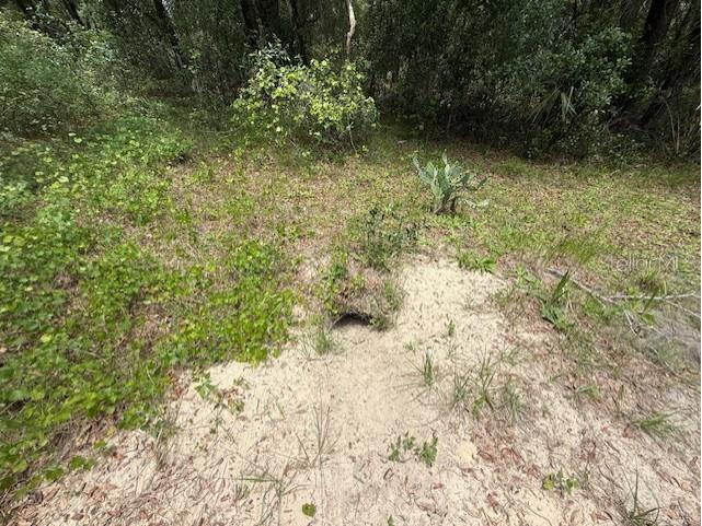 288 Mcmillon Drive Orange City FL 32763 V4949117 image7