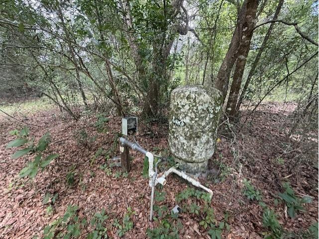 288 Mcmillon Drive Orange City FL 32763 V4949117 image8