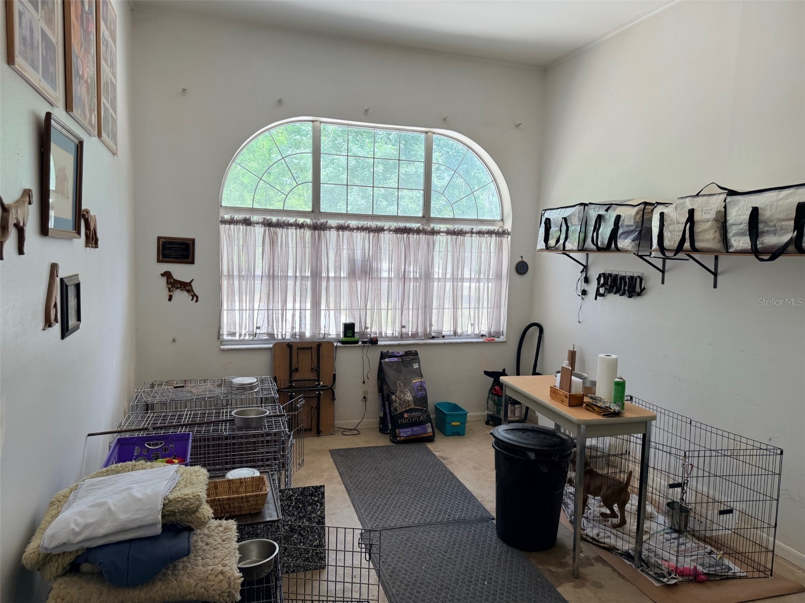 288 NE 899th Street Old Town FL 32680 GC539953 image13