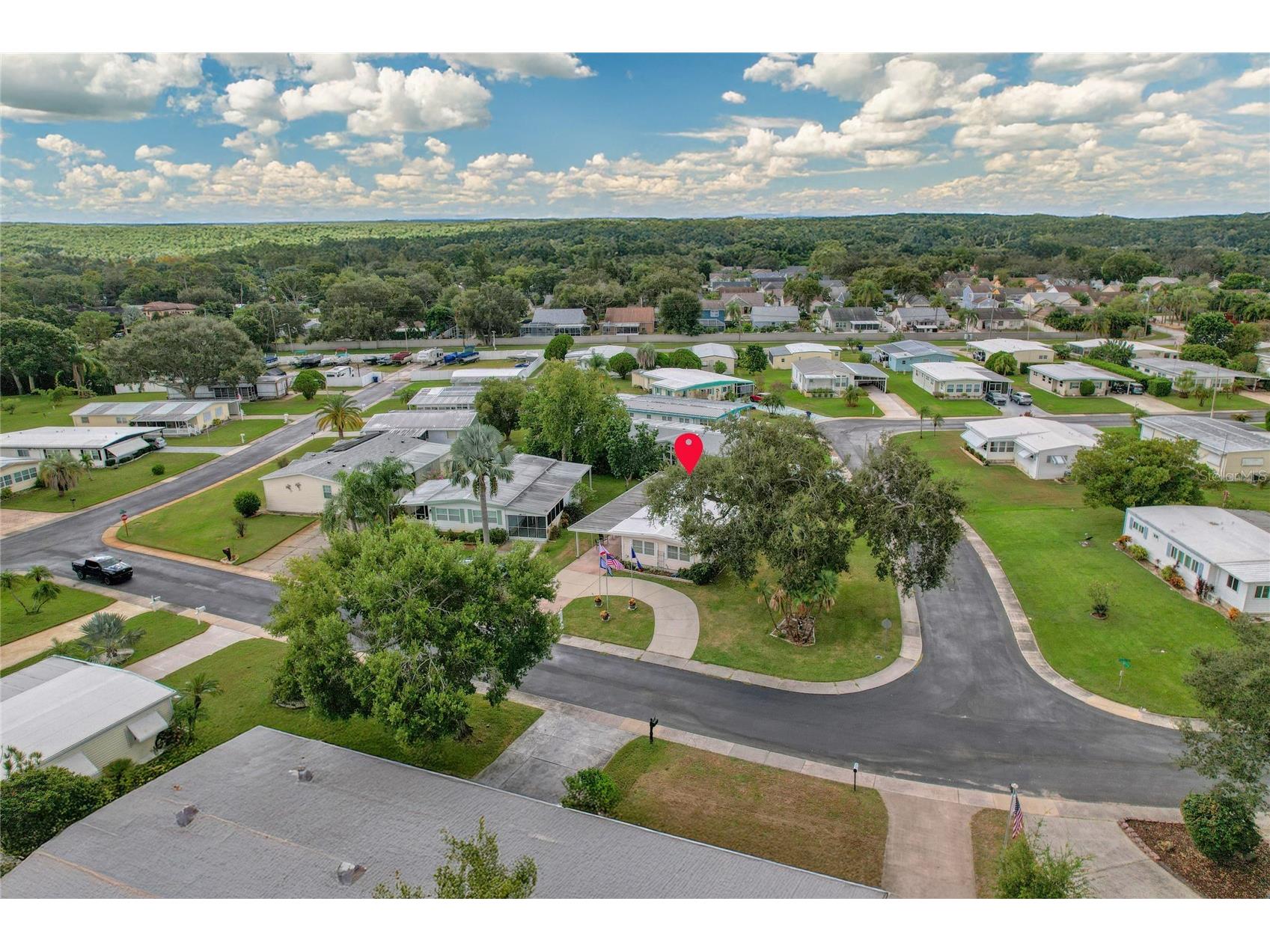 288 Salem Avenue #3 Palm Harbor FL 34684 - LAKE TARPON TB8433132 image44