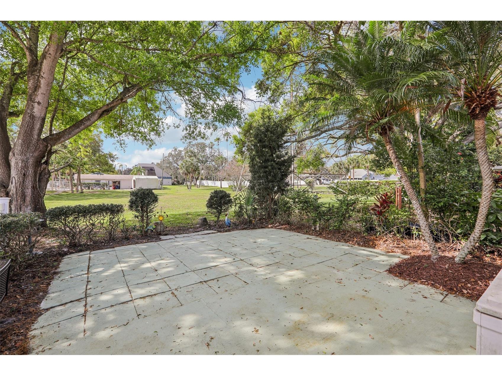 288 Salem Street Safety Harbor FL 34695 TB8486590 image18