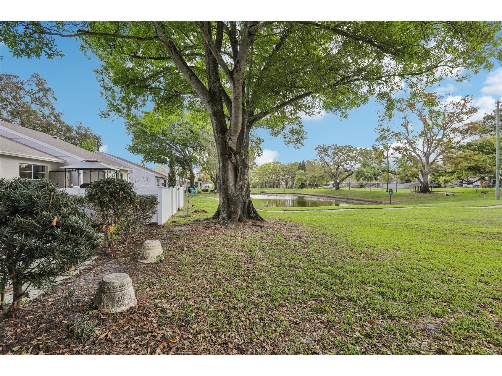 288 Salem Street Safety Harbor FL 34695 TB8486590 image20