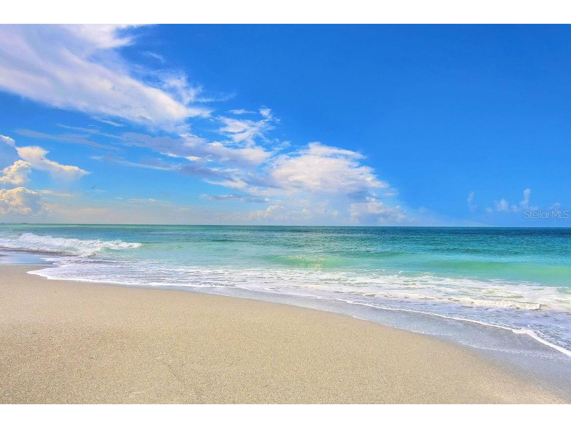 288 Soliera Street Nokomis FL 34275 N6140477 image69