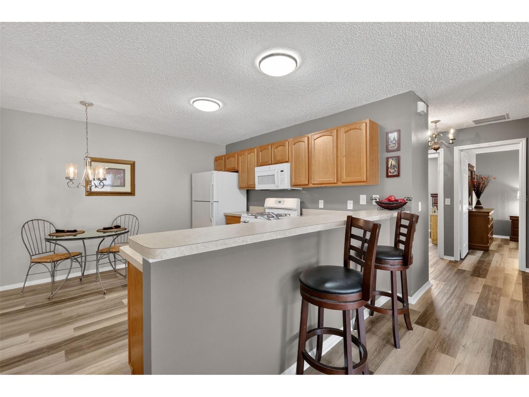 288 Starr Lane The Villages FL 32162 G5111113 image7