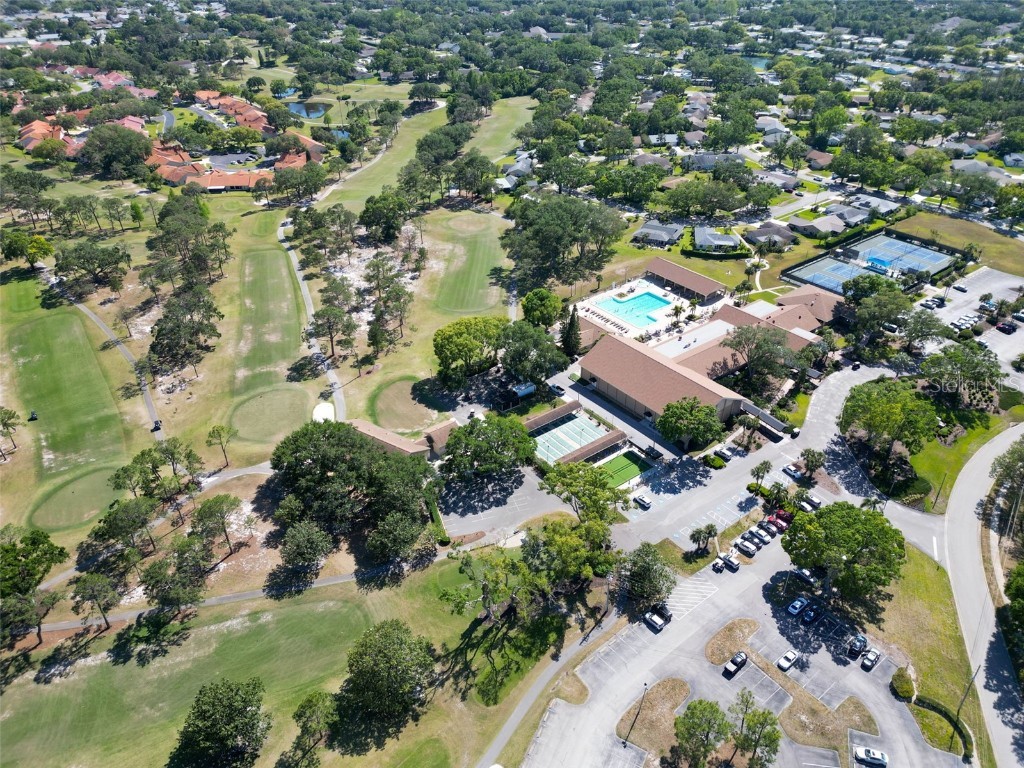 2880 Doone Circle Palm Harbor FL 34684 - LAKE TARPON TB8440375 image68