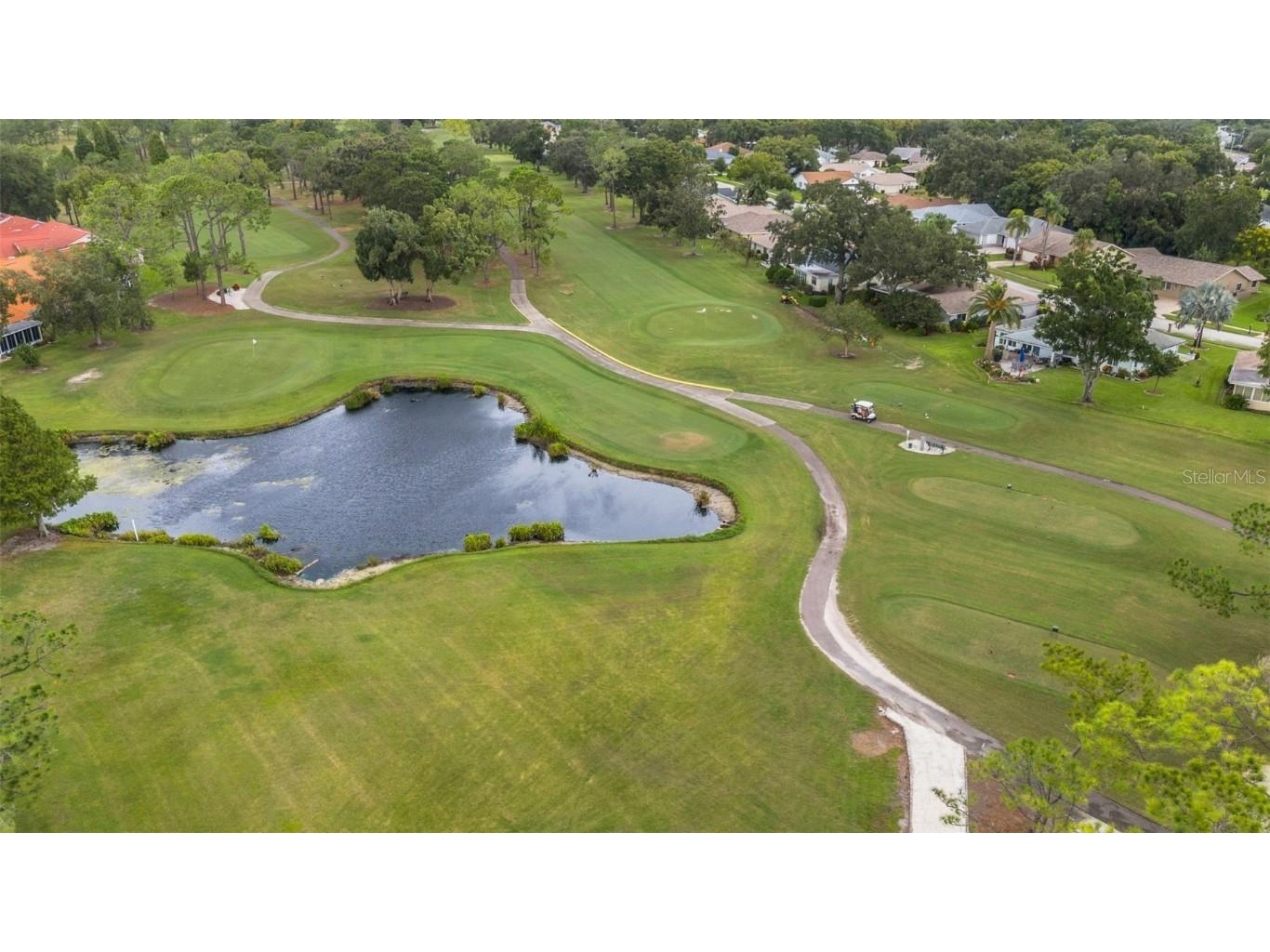 2880 Doone Circle Palm Harbor FL 34684 - LAKE TARPON TB8440375 image71