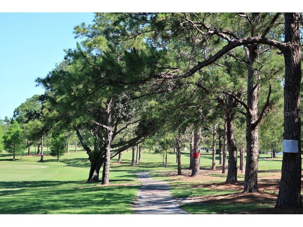 2880 Doone Circle Palm Harbor FL 34684 - LAKE TARPON TB8440375 image73