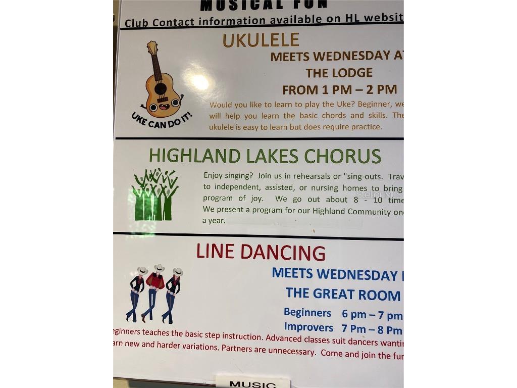 2880 Doone Circle Palm Harbor FL 34684 - LAKE TARPON TB8440375 image90