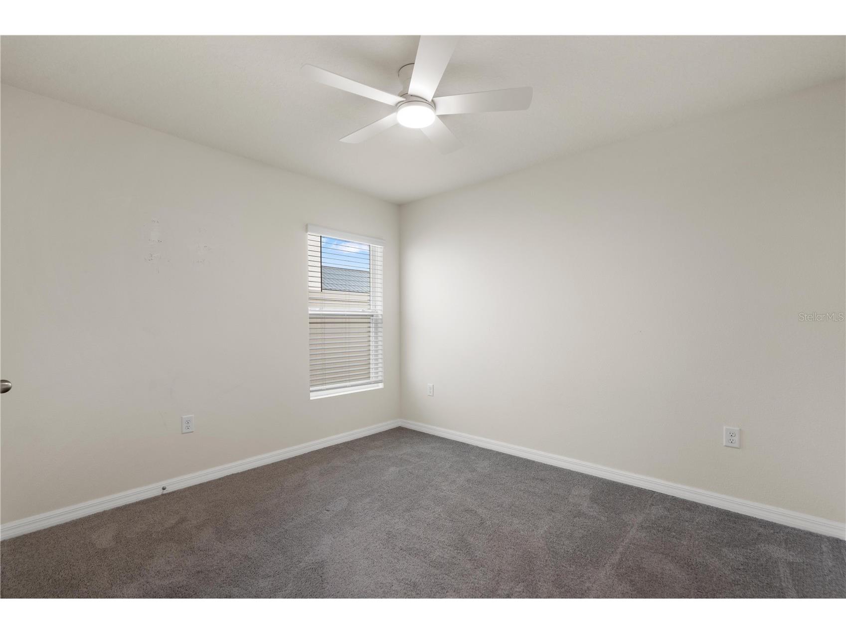 2880 Gumbo Limbo Drive Wimauma FL 33598 W7885331 image22