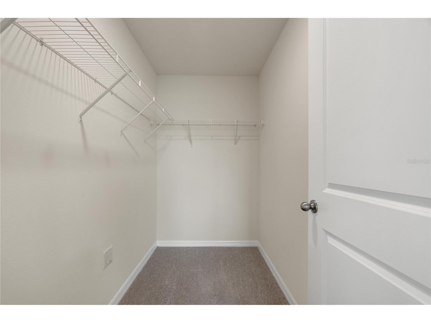2880 Gumbo Limbo Drive Wimauma FL 33598 W7885331 image30