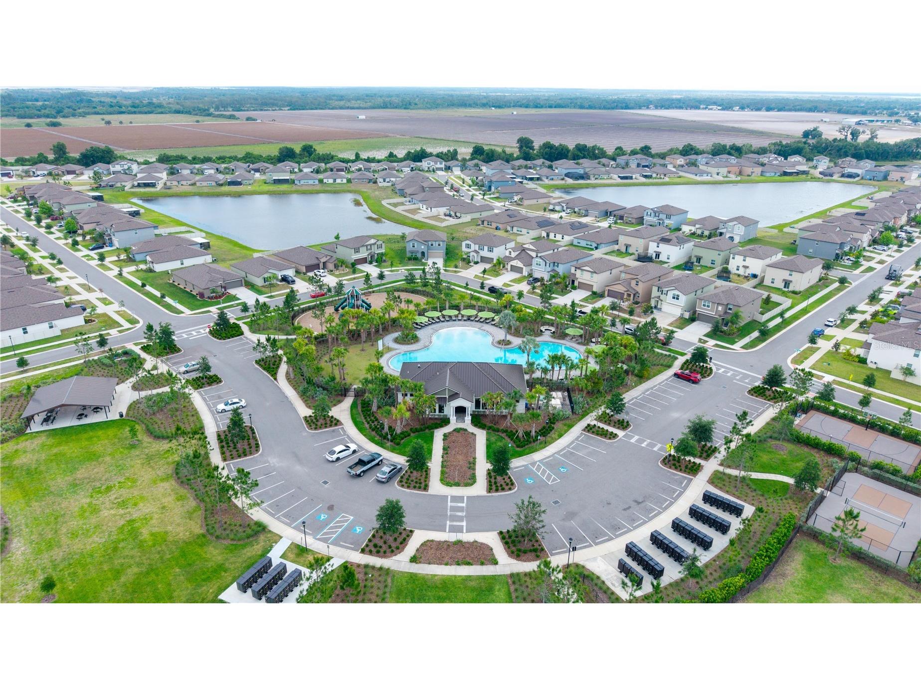 2880 Gumbo Limbo Drive Wimauma FL 33598 W7885331 image43