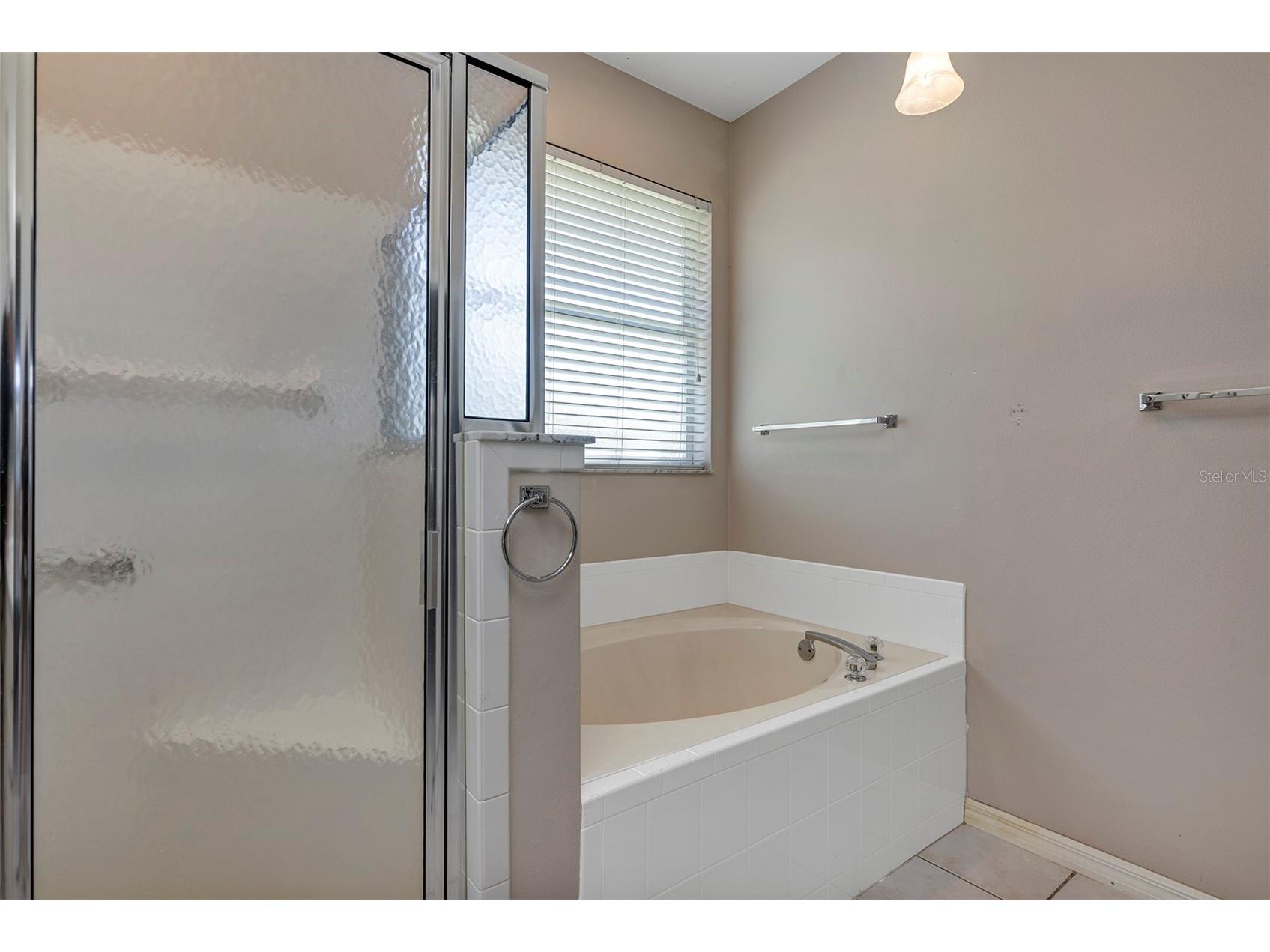2880 Mediterranean Loop Tavares FL 32778 - HARRIS CHAIN OF LAKES V4949237 image31