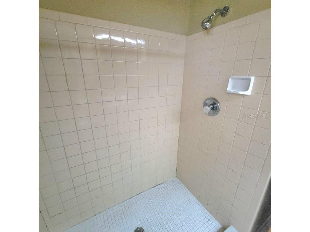 28800 Walker Drive Wesley Chapel FL 33544 TB8474448 image42