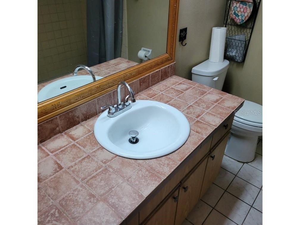 28800 Walker Drive Wesley Chapel FL 33544 TB8474448 image43