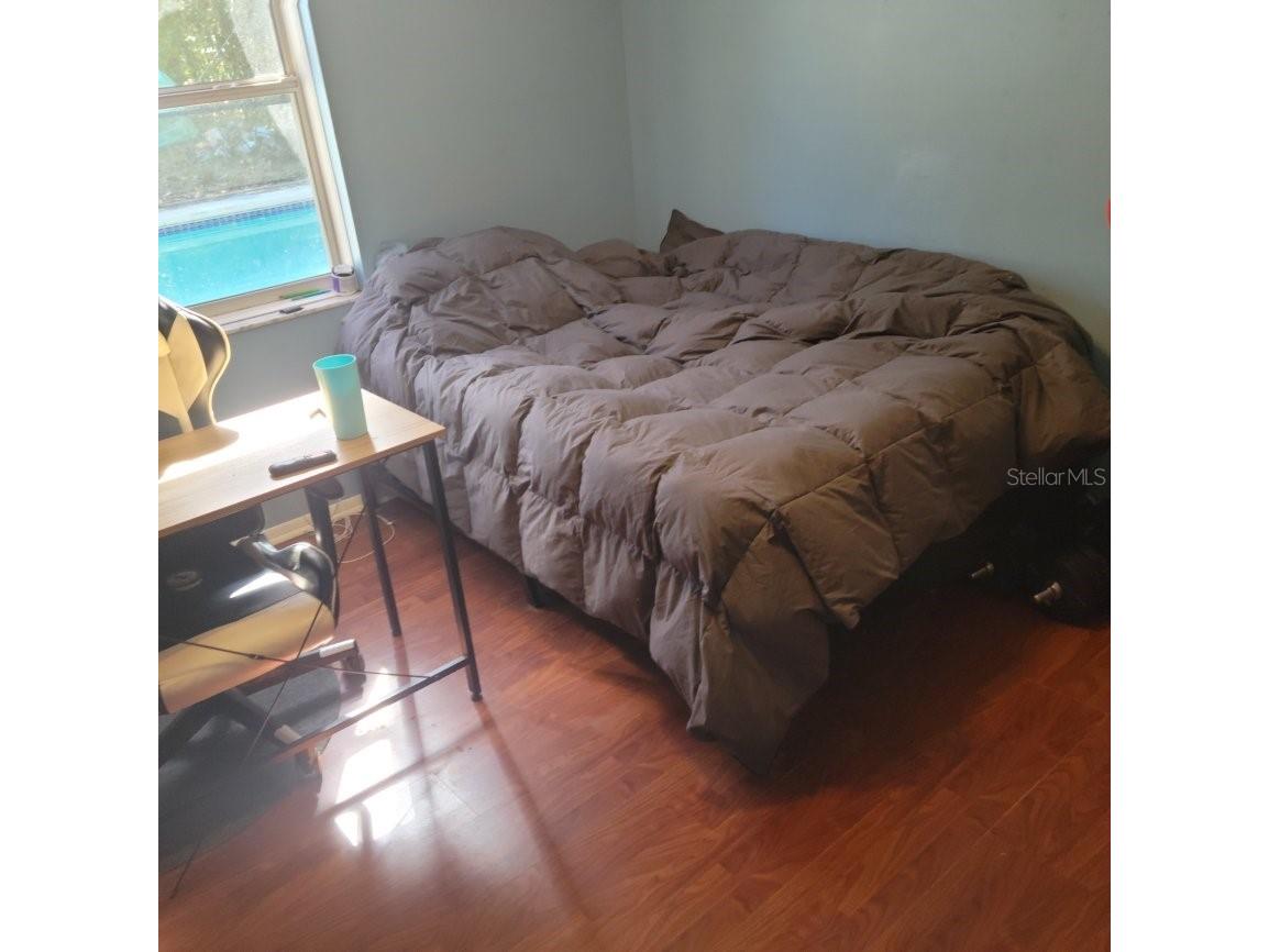 28800 Walker Drive Wesley Chapel FL 33544 TB8474448 image46