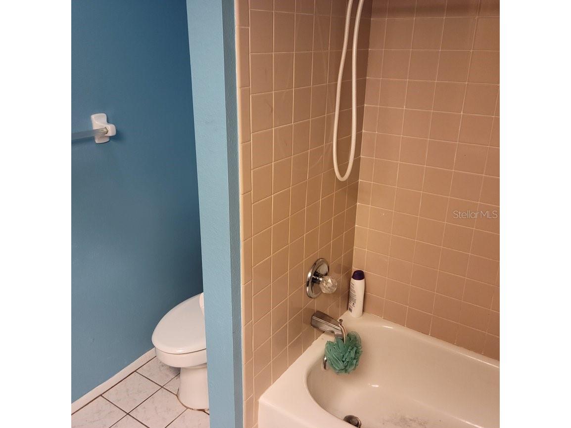 28800 Walker Drive Wesley Chapel FL 33544 TB8474448 image49