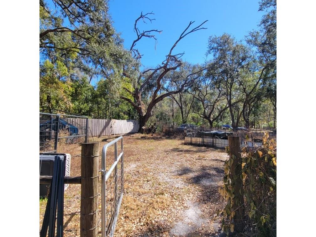 28800 Walker Drive Wesley Chapel FL 33544 TB8474448 image5