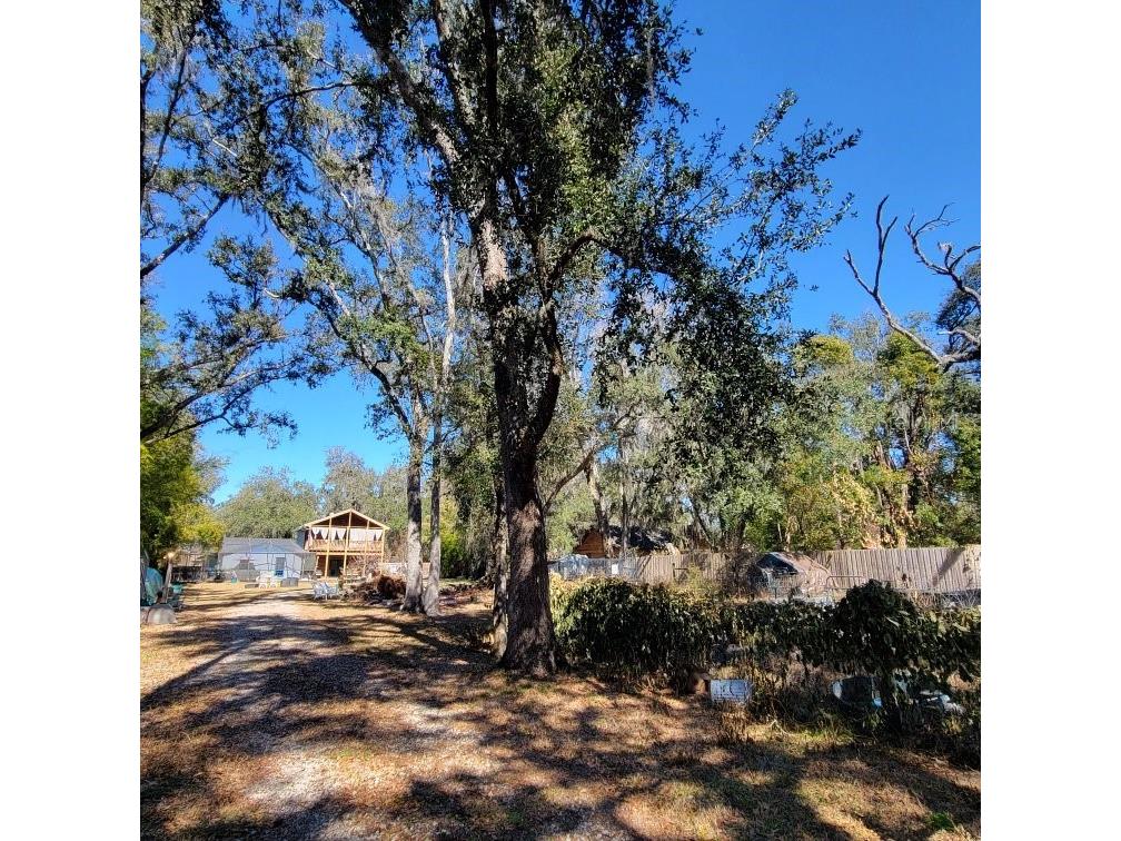 28800 Walker Drive Wesley Chapel FL 33544 TB8474448 image6